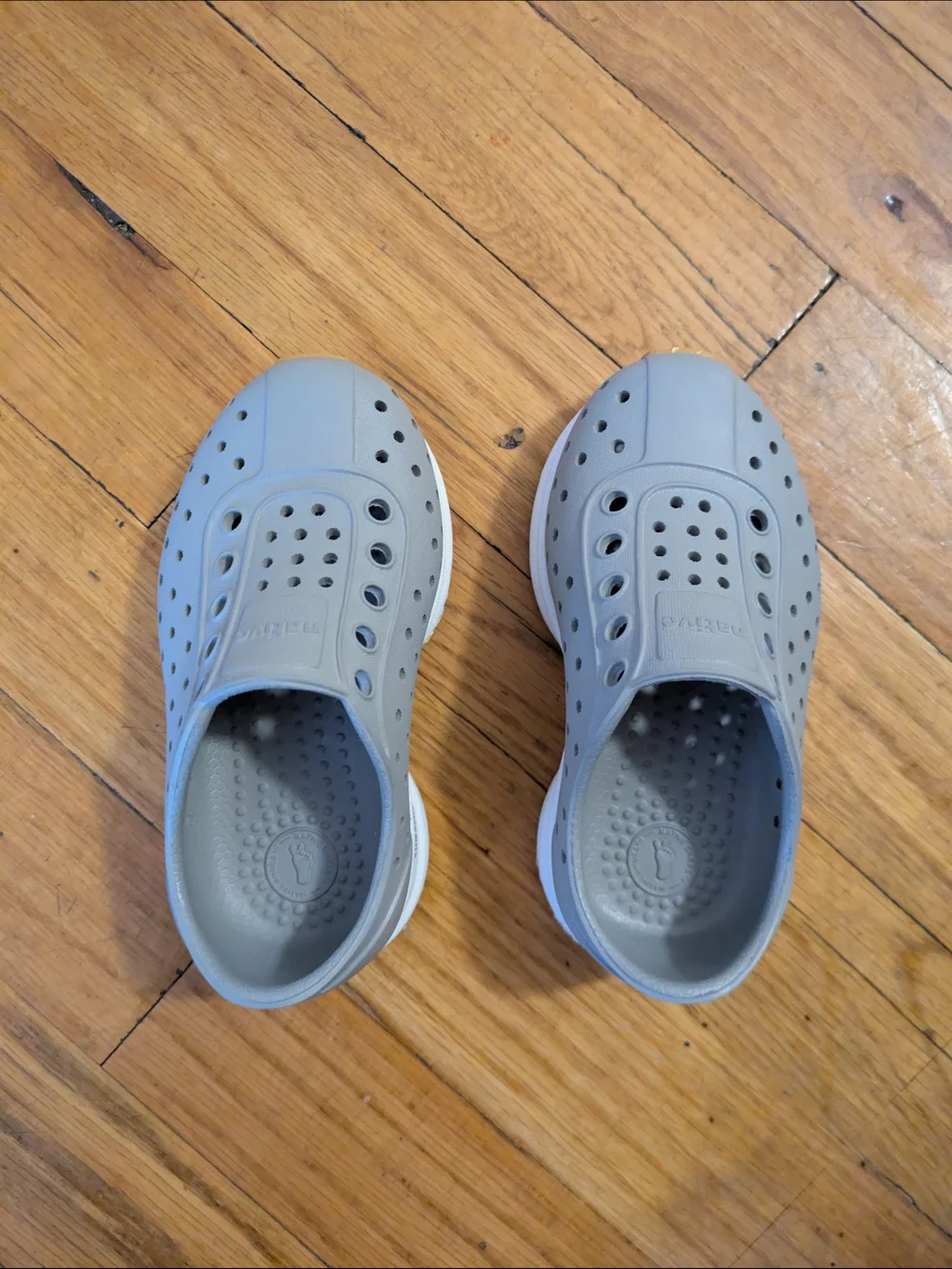 Native Robbie Sugarlite Light Gray Toddler Shoes C6